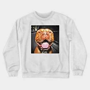 Bubba Superdog! Crewneck Sweatshirt